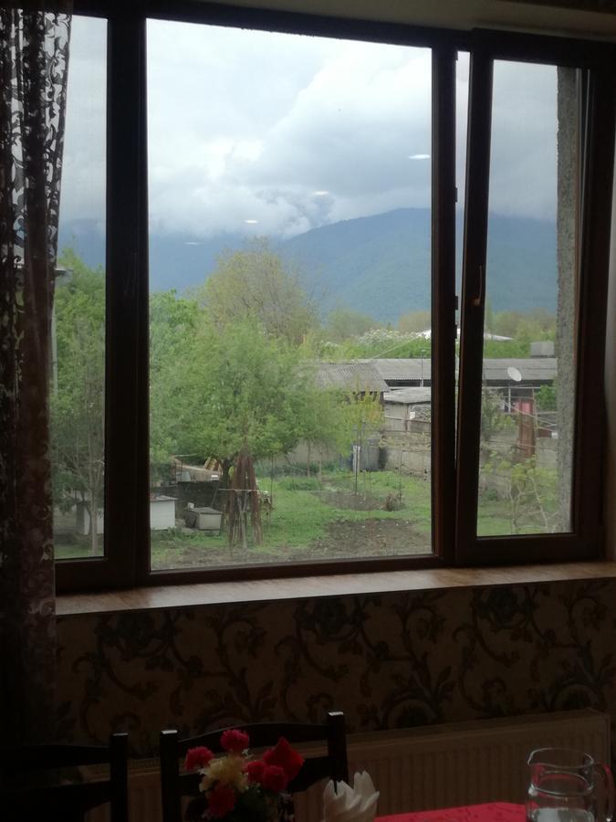 Гостевой дом Кахети Кварели Экстерьер фото